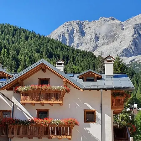 Stella Alpina Val di Zoldo