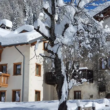 Stella Alpina Val di Zoldo